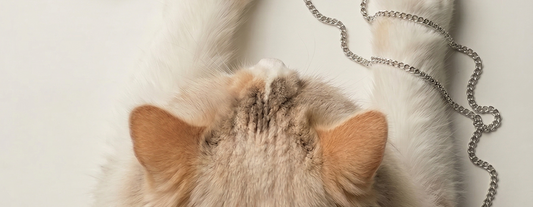 What My Cat Taught Me About Wearing Jewelry