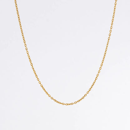 Gold chain necklace on a light gray background
